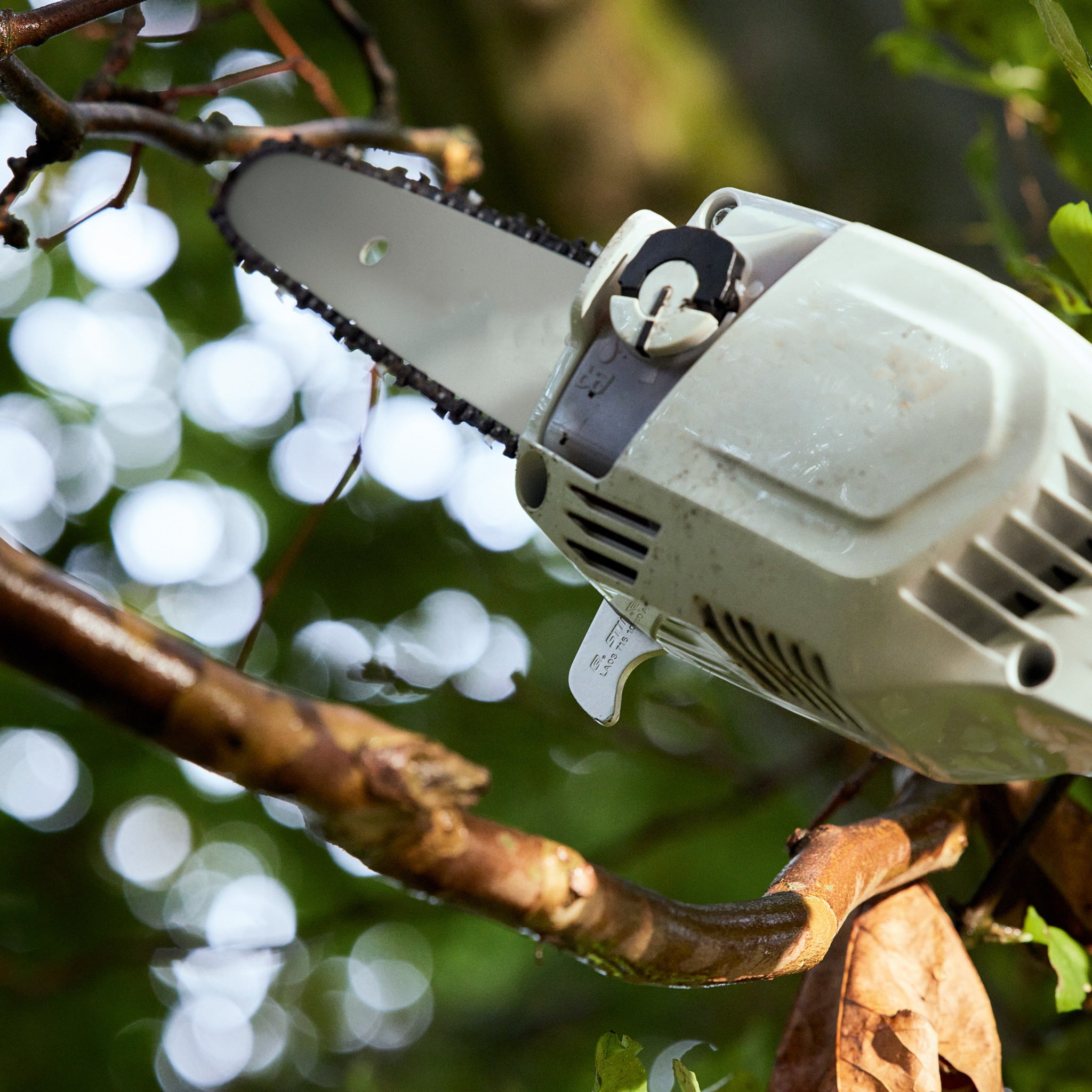 HTA 86 CORDLESS POLE PRUNER